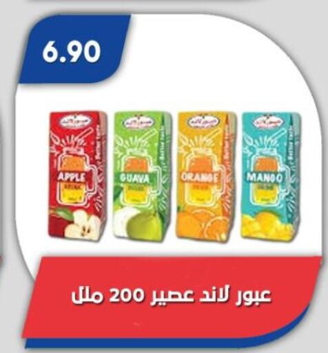 Apple Guava Orange available at Bassem Market in Egypt - Cairo