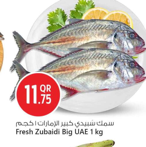 available at Safari Hypermarket in Qatar - Al-Shahaniya