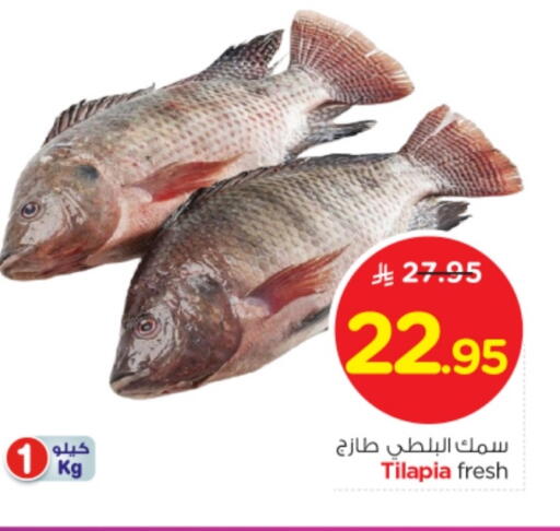 available at نستو in مملكة العربية السعودية, السعودية, سعودية - بريدة