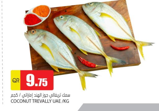 Coconut available at Grand Hypermarket in Qatar - Al-Shahaniya