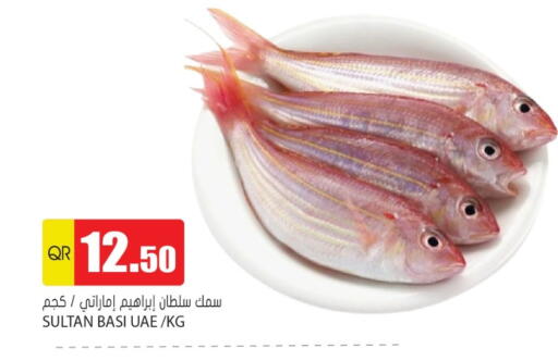 available at Grand Hypermarket in Qatar - Al-Shahaniya