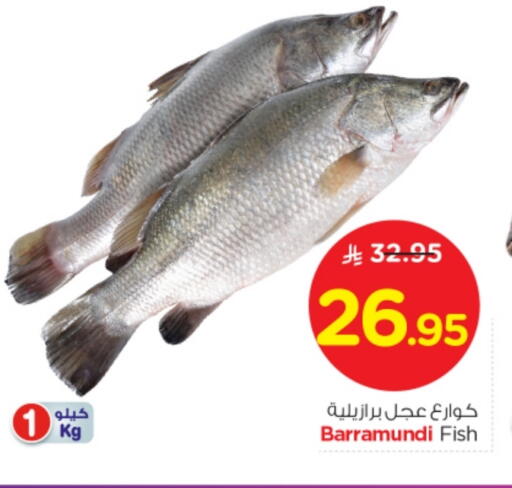 available at نستو in مملكة العربية السعودية, السعودية, سعودية - بريدة