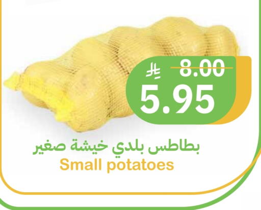 available at أسواق قاطبة in مملكة العربية السعودية, السعودية, سعودية - بريدة