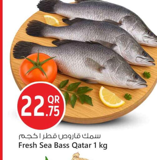 available at Safari Hypermarket in Qatar - Al-Shahaniya