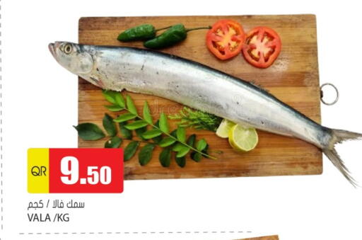 available at Grand Hypermarket in Qatar - Al-Shahaniya