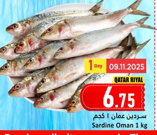 available at دانة هايبرماركت in قطر - الشمال