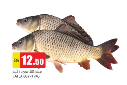 available at Grand Hypermarket in Qatar - Doha