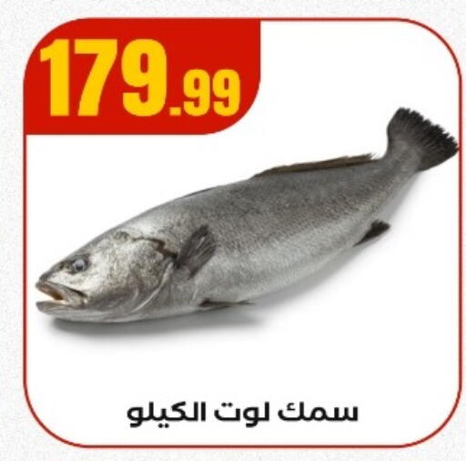 available at مارت فيل in Egypt - القاهرة