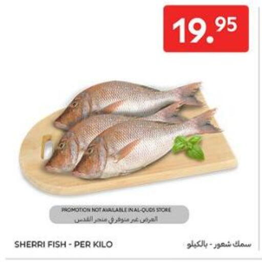 available at Carrefour in KSA, Saudi Arabia, Saudi - Al Khobar