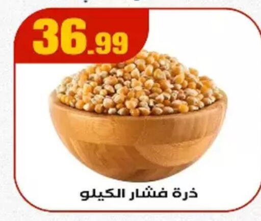 available at مارت فيل in Egypt - القاهرة