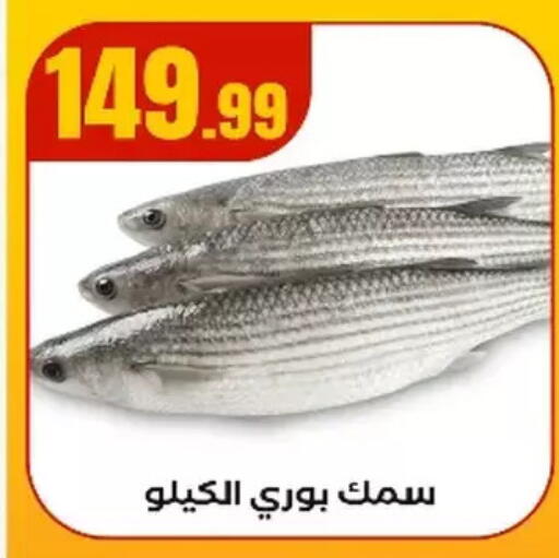 available at مارت فيل in Egypt - القاهرة
