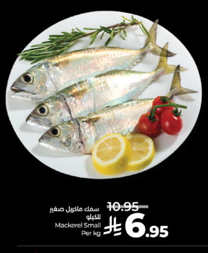 available at لولو هايبرماركت in مملكة العربية السعودية, السعودية, سعودية - جدة