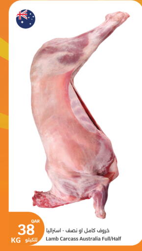 Mutton / Lamb available at City Hypermarket in Qatar - Al Shamal