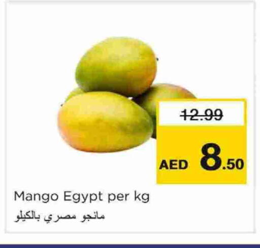 Mangoes from Egypt available at Nesto Hypermarket in UAE - Dubai
