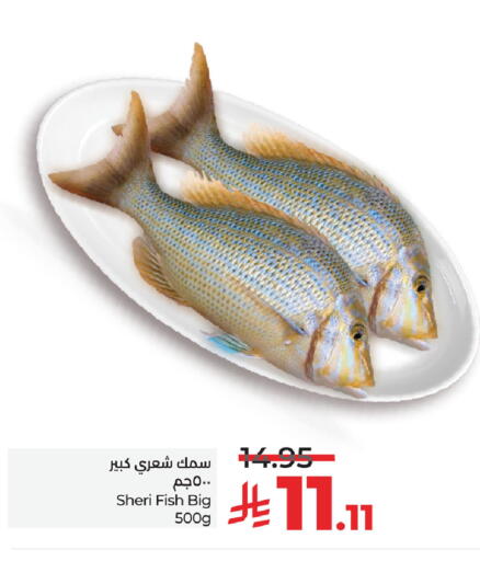 available at LULU Hypermarket in KSA, Saudi Arabia, Saudi - Al Hasa