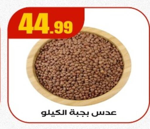 available at مارت فيل in Egypt - القاهرة