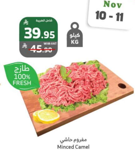 Camel meat available at Al Raya in KSA, Saudi Arabia, Saudi - Al Bahah