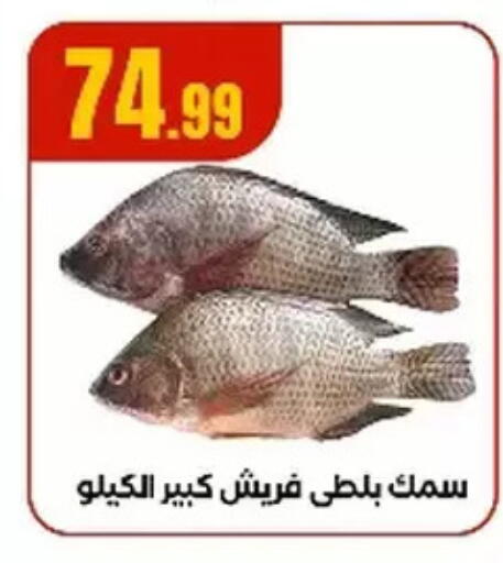 available at مارت فيل in Egypt - القاهرة