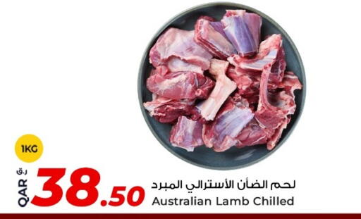 available at روابي هايبرماركت in قطر - الشمال
