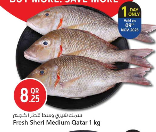 available at سفاري هايبر ماركت in قطر - الدوحة