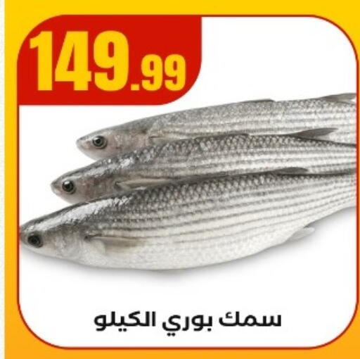 available at مارت فيل in Egypt - القاهرة