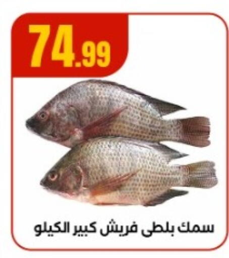 available at مارت فيل in Egypt - القاهرة