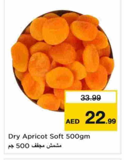 Apricot available at Last Chance  in UAE - Fujairah