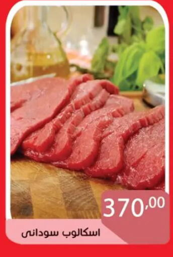 available at صن مول in Egypt - القاهرة