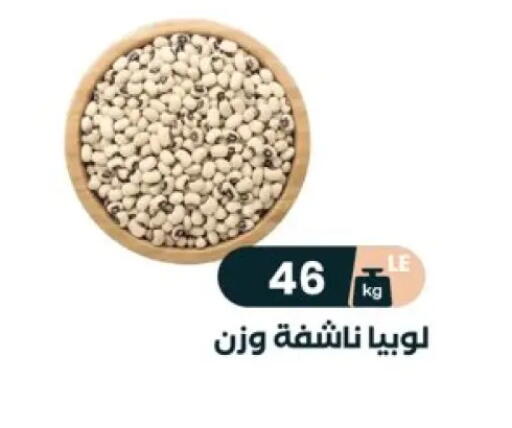 available at عرفة ماركت in Egypt - القاهرة