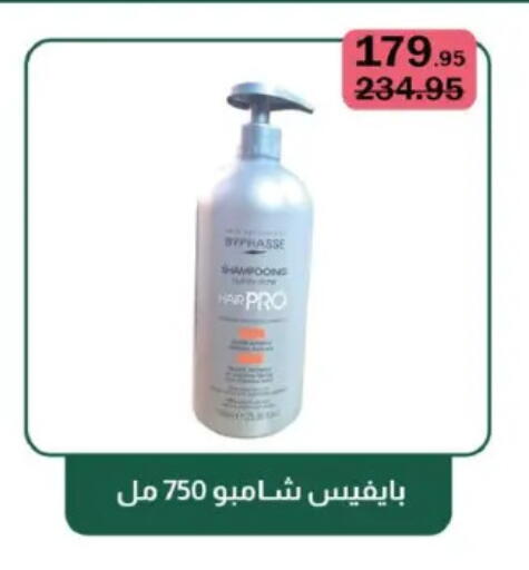 Shampoo / Conditioner available at Flamingo Hyper Market in Egypt - Cairo