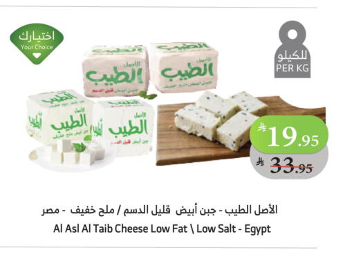 available at الراية in مملكة العربية السعودية, السعودية, سعودية - ينبع