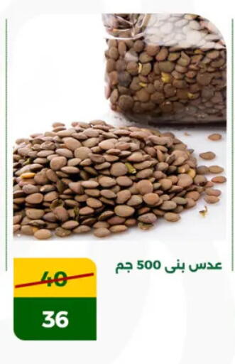 available at جرين تري هايبرماركت - سوهاج in Egypt - القاهرة