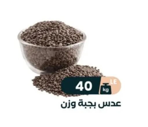 available at عرفة ماركت in Egypt - القاهرة