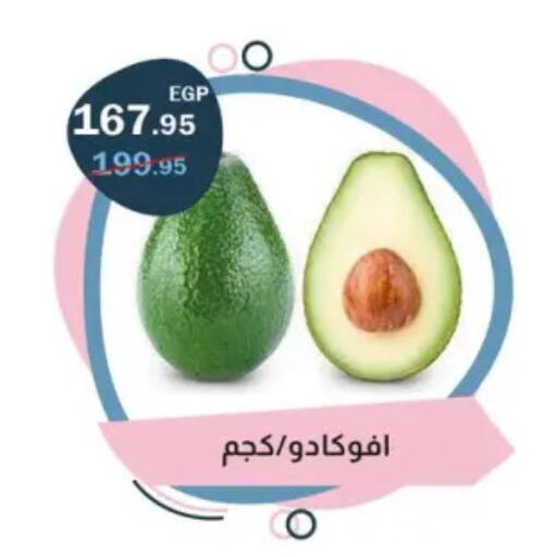 أفوكادو available at فلامنجو هايبرماركت in Egypt - القاهرة