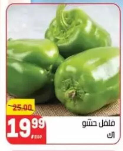 فلفل / فليفلة available at هايبر المنصورة in Egypt - القاهرة