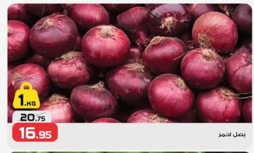 بصل available at زهران ماركت in Egypt - القاهرة