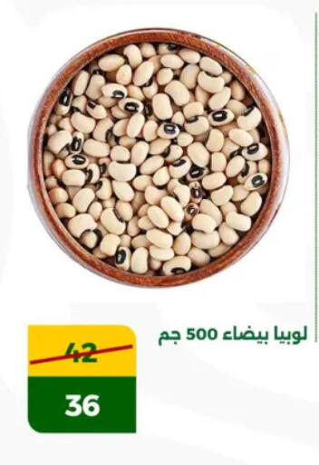 available at جرين تري هايبرماركت - سوهاج in Egypt - القاهرة