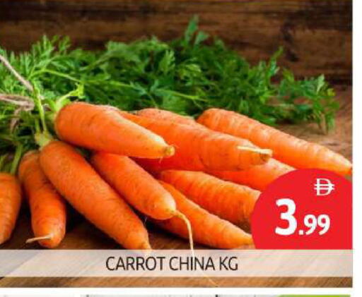 جزر from China available at بيج مارت in الإمارات العربية المتحدة , الامارات - أبو ظبي