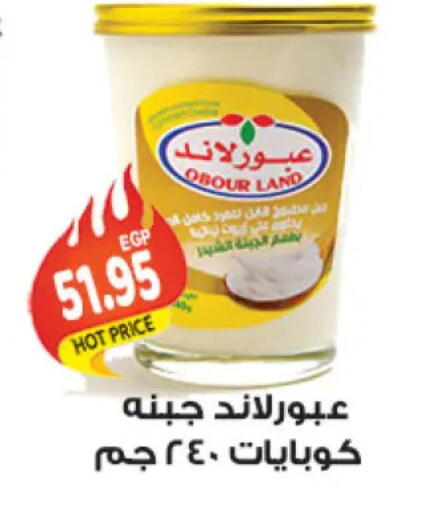 جبنة الشيدر available at الجيزاوى ماركت in Egypt - القاهرة