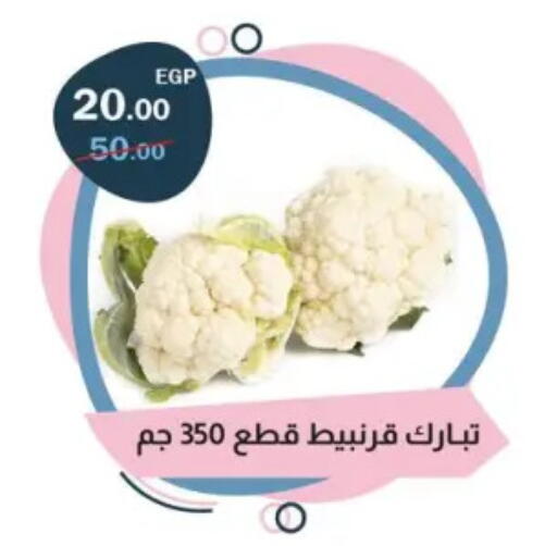 available at فلامنجو هايبرماركت in Egypt - القاهرة