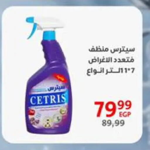 General Cleaner available at Arab DownTown in Egypt - Cairo