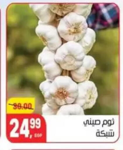 ثوم available at هايبر المنصورة in Egypt - القاهرة