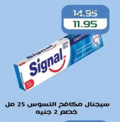 سيجنال available at Mekkawy market  in Egypt - القاهرة