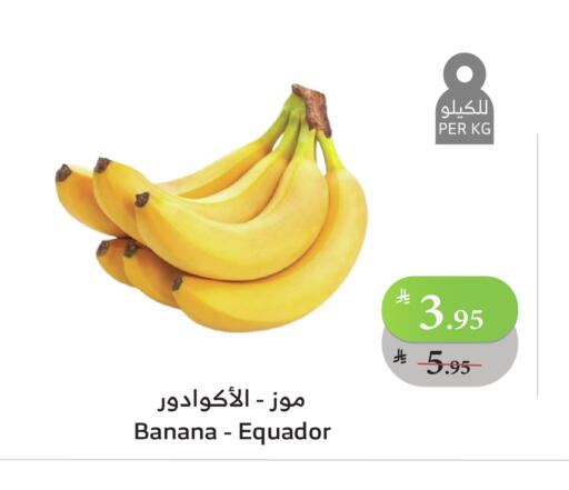 موز available at الراية in مملكة العربية السعودية, السعودية, سعودية - المدينة المنورة