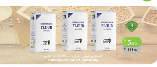 طحين متعدد الاستعمالات available at الراية in مملكة العربية السعودية, السعودية, سعودية - بيشة