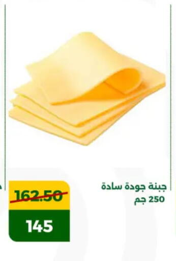 غودا available at جرين تري هايبرماركت - سوهاج in Egypt - القاهرة