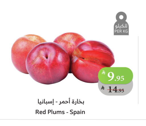 برقوق from Spain available at الراية in مملكة العربية السعودية, السعودية, سعودية - بيشة