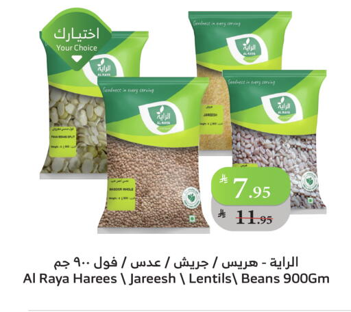 available at Al Raya in KSA, Saudi Arabia, Saudi - Bishah