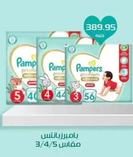 بامبرز available at Mekkawy market  in Egypt - القاهرة