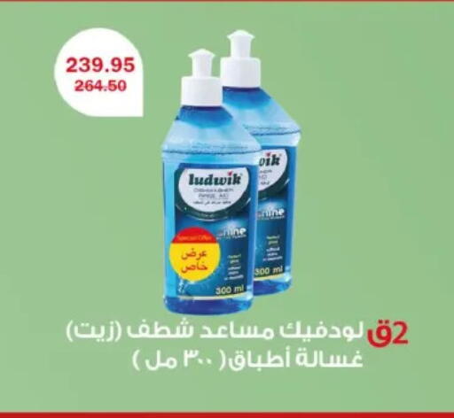 available at Flamingo Hyper Market in Egypt - Cairo